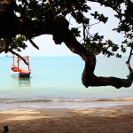 Beach Bums | Ko Pha Ngan, Thailand